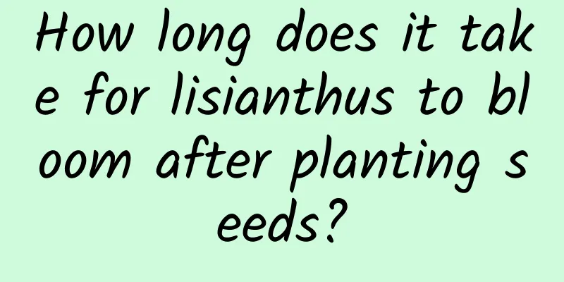 How long does it take for lisianthus to bloom after planting seeds?