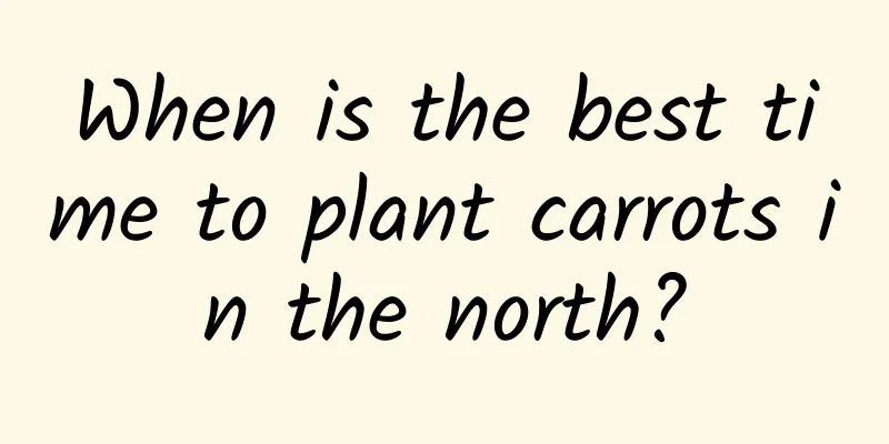 When is the best time to plant carrots in the north?