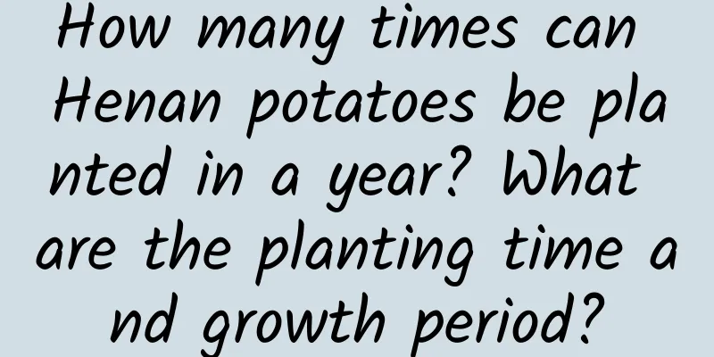 How many times can Henan potatoes be planted in a year? What are the planting time and growth period?
