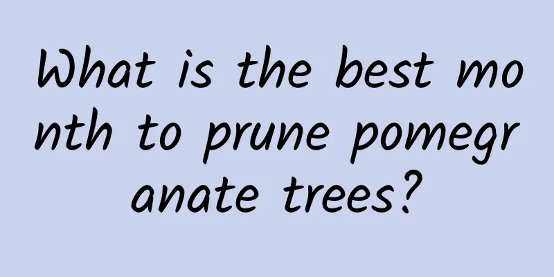 What is the best month to prune pomegranate trees?