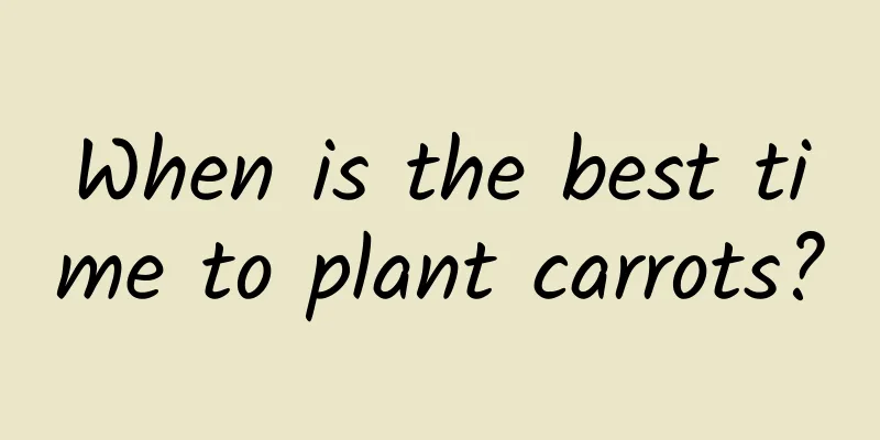 When is the best time to plant carrots?
