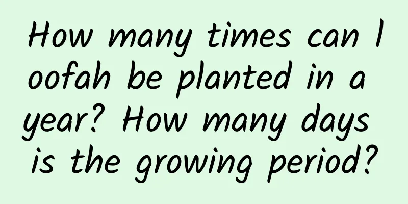 How many times can loofah be planted in a year? How many days is the growing period?