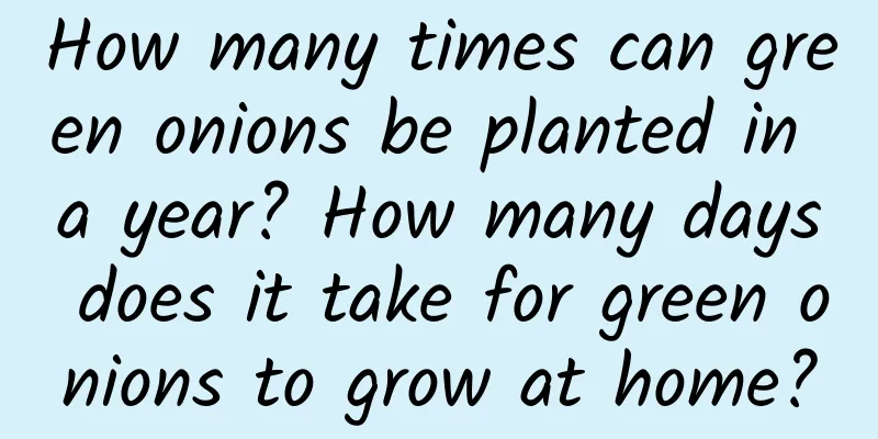 How many times can green onions be planted in a year? How many days does it take for green onions to grow at home?