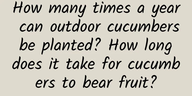 How many times a year can outdoor cucumbers be planted? How long does it take for cucumbers to bear fruit?