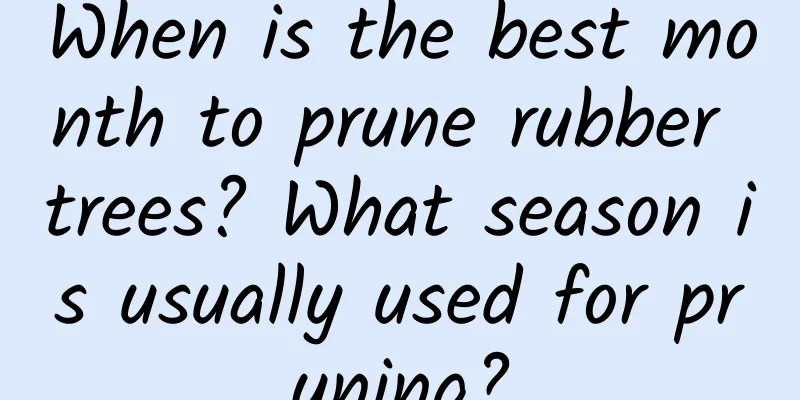 When is the best month to prune rubber trees? What season is usually used for pruning?