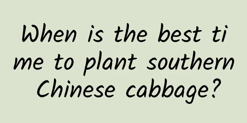 When is the best time to plant southern Chinese cabbage?