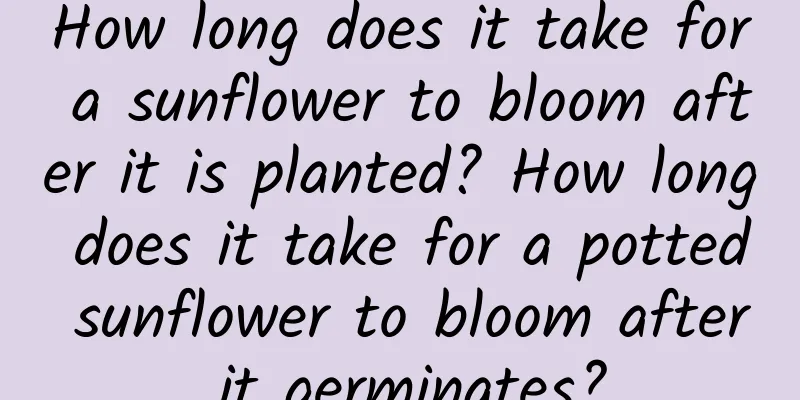 How long does it take for a sunflower to bloom after it is planted? How long does it take for a potted sunflower to bloom after it germinates?