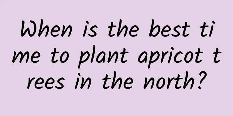 When is the best time to plant apricot trees in the north?
