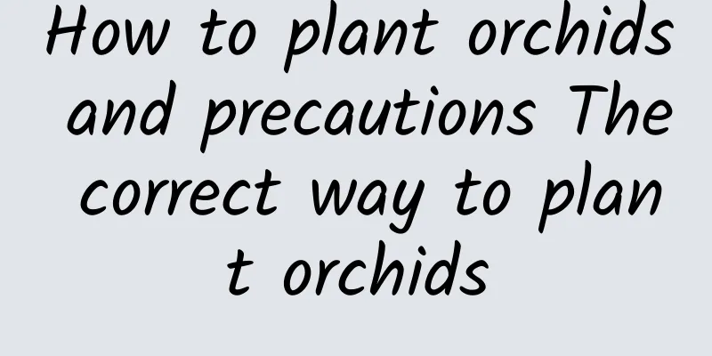 How to plant orchids and precautions The correct way to plant orchids