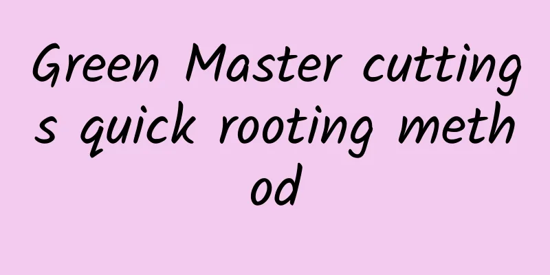 Green Master cuttings quick rooting method