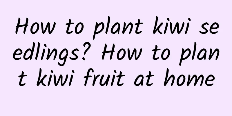 How to plant kiwi seedlings? How to plant kiwi fruit at home