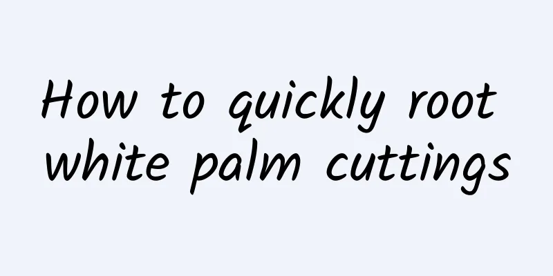 How to quickly root white palm cuttings