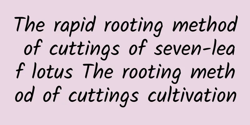 The rapid rooting method of cuttings of seven-leaf lotus The rooting method of cuttings cultivation