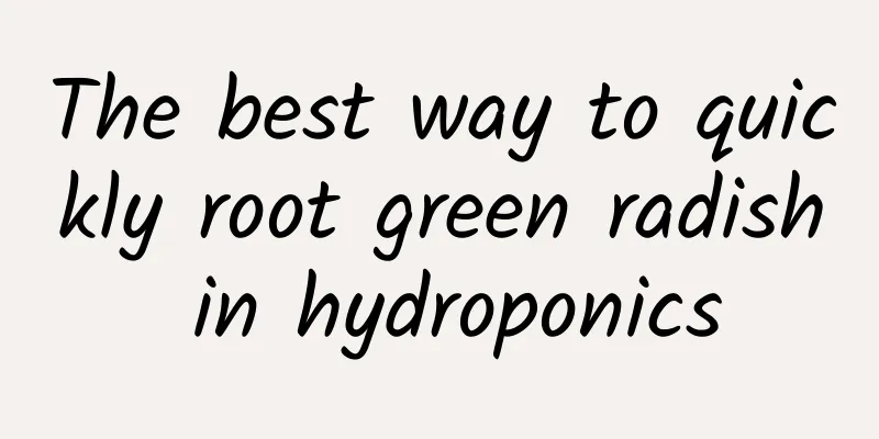 The best way to quickly root green radish in hydroponics
