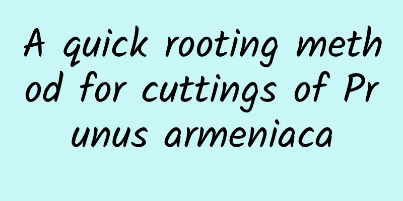 A quick rooting method for cuttings of Prunus armeniaca