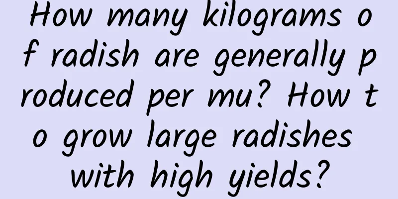 How many kilograms of radish are generally produced per mu? How to grow large radishes with high yields?