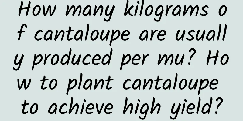 How many kilograms of cantaloupe are usually produced per mu? How to plant cantaloupe to achieve high yield?
