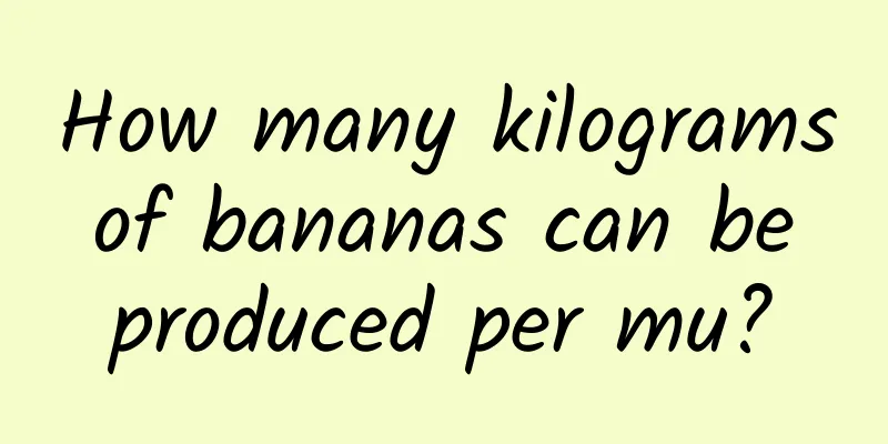 How many kilograms of bananas can be produced per mu?