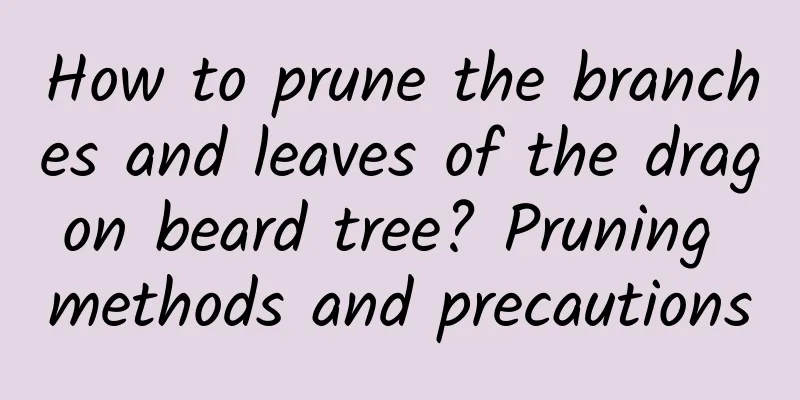 How to prune the branches and leaves of the dragon beard tree? Pruning methods and precautions