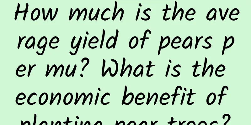 How much is the average yield of pears per mu? What is the economic benefit of planting pear trees?