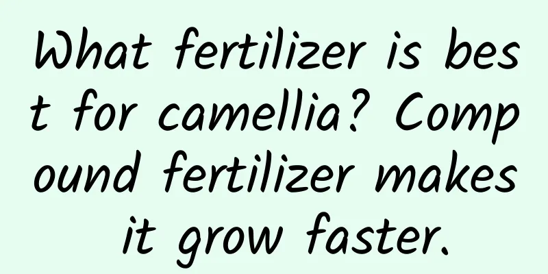 What fertilizer is best for camellia? Compound fertilizer makes it grow faster.