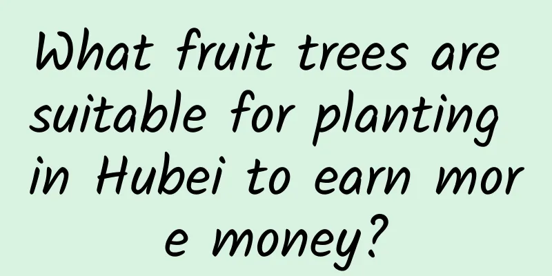 What fruit trees are suitable for planting in Hubei to earn more money?