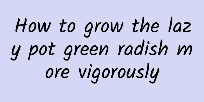How to grow the lazy pot green radish more vigorously