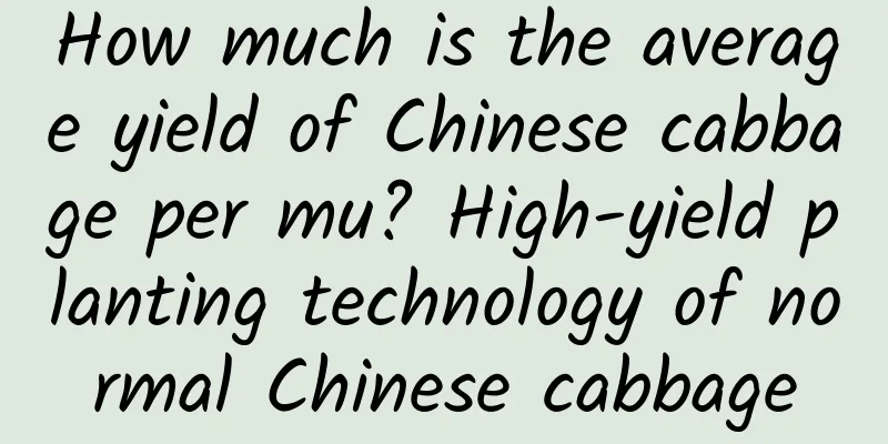 How much is the average yield of Chinese cabbage per mu? High-yield planting technology of normal Chinese cabbage