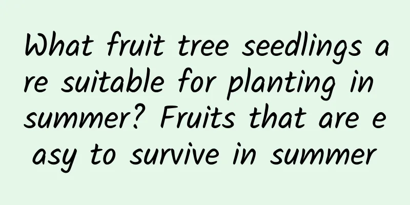 What fruit tree seedlings are suitable for planting in summer? Fruits that are easy to survive in summer