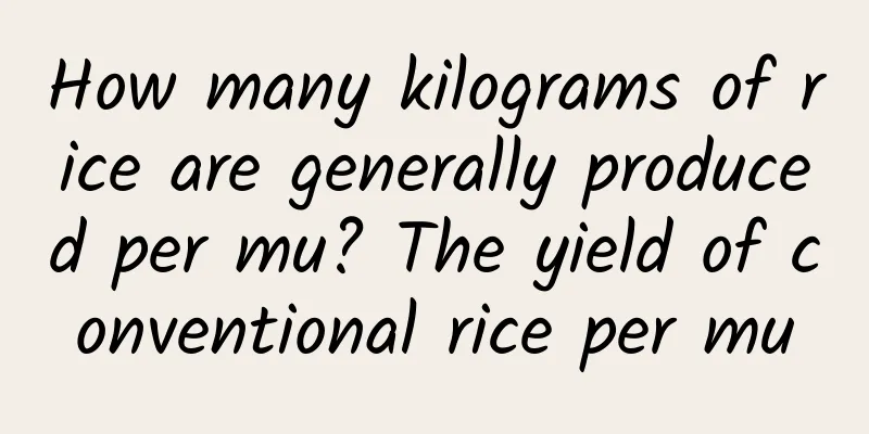 How many kilograms of rice are generally produced per mu? The yield of conventional rice per mu
