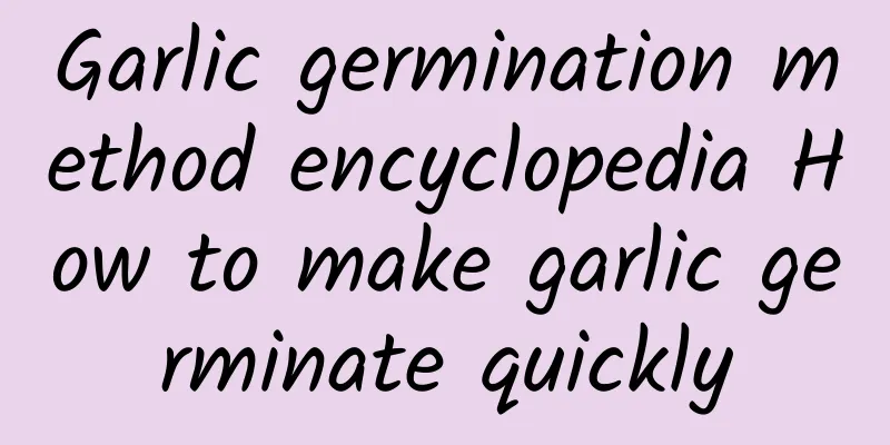 Garlic germination method encyclopedia How to make garlic germinate quickly