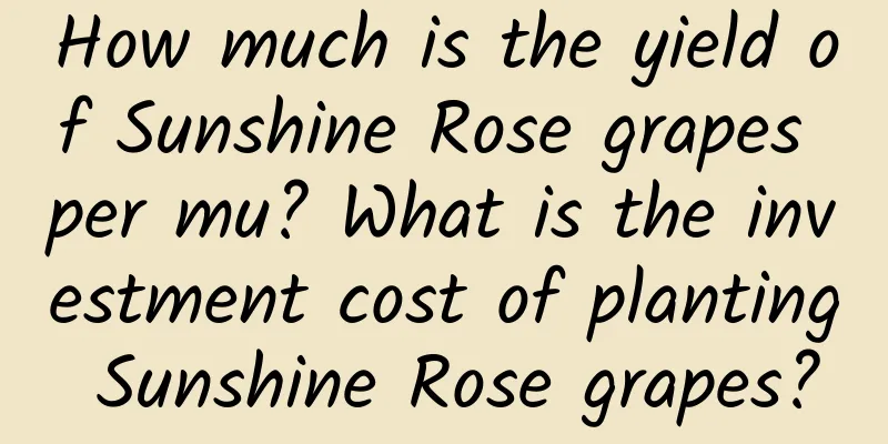 How much is the yield of Sunshine Rose grapes per mu? What is the investment cost of planting Sunshine Rose grapes?