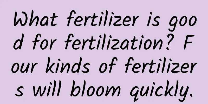 What fertilizer is good for fertilization? Four kinds of fertilizers will bloom quickly.