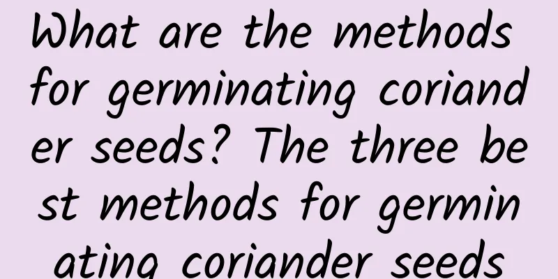 What are the methods for germinating coriander seeds? The three best methods for germinating coriander seeds