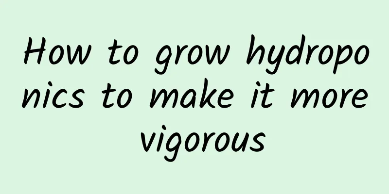 How to grow hydroponics to make it more vigorous