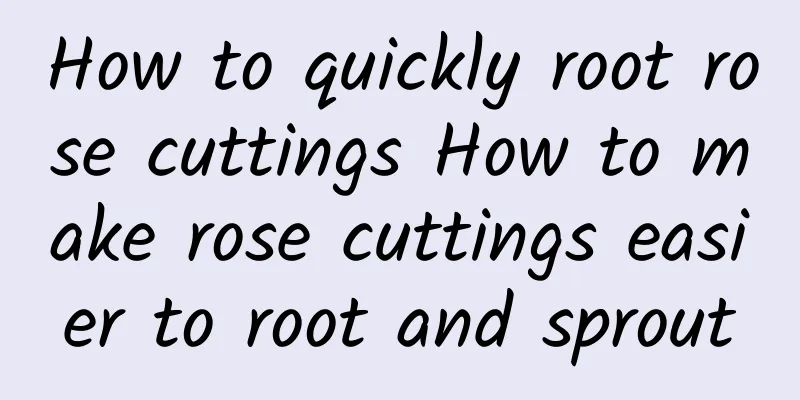 How to quickly root rose cuttings How to make rose cuttings easier to root and sprout