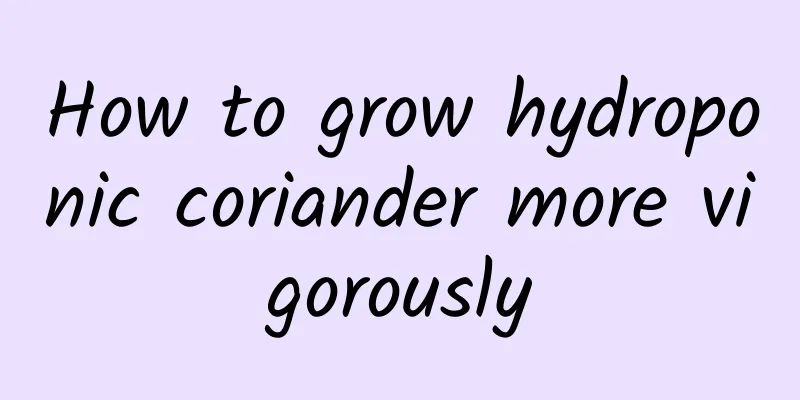 How to grow hydroponic coriander more vigorously