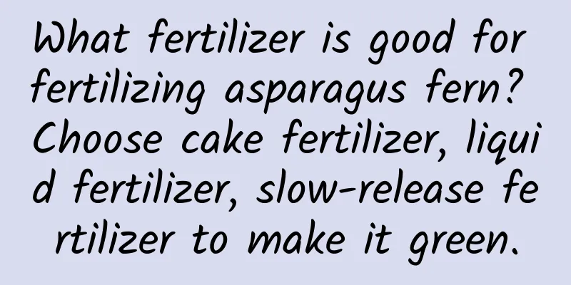 What fertilizer is good for fertilizing asparagus fern? Choose cake fertilizer, liquid fertilizer, slow-release fertilizer to make it green.