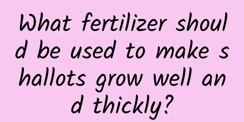 What fertilizer should be used to make shallots grow well and thickly?