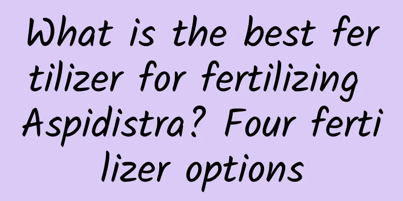 What is the best fertilizer for fertilizing Aspidistra? Four fertilizer options