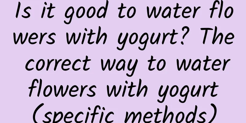 Is it good to water flowers with yogurt? The correct way to water flowers with yogurt (specific methods)
