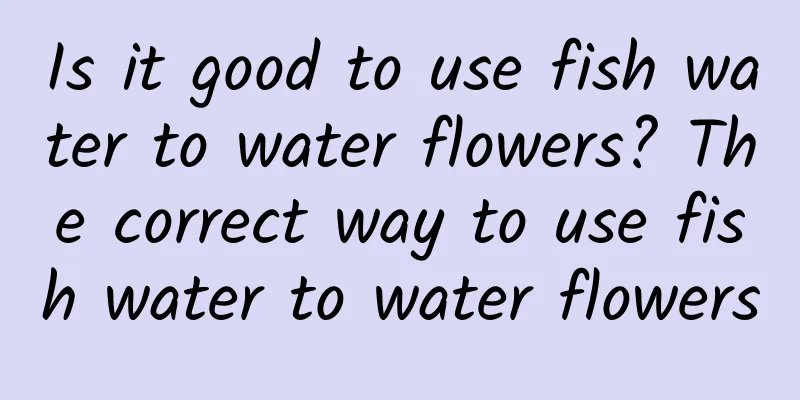 Is it good to use fish water to water flowers? The correct way to use fish water to water flowers
