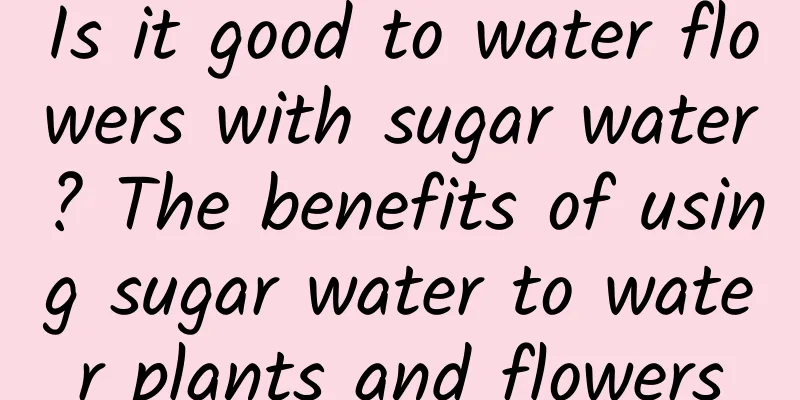 Is it good to water flowers with sugar water? The benefits of using sugar water to water plants and flowers