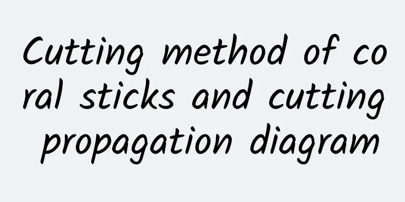 Cutting method of coral sticks and cutting propagation diagram