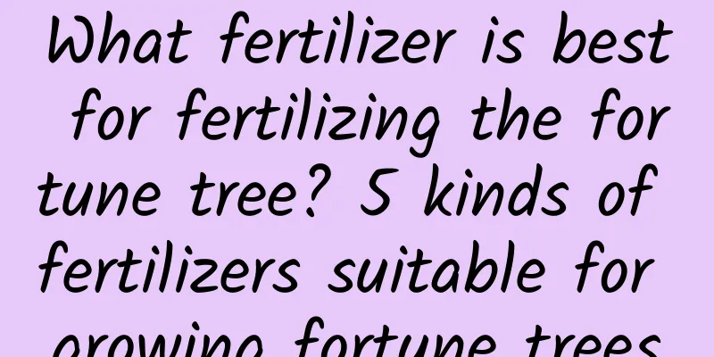 What fertilizer is best for fertilizing the fortune tree? 5 kinds of fertilizers suitable for growing fortune trees