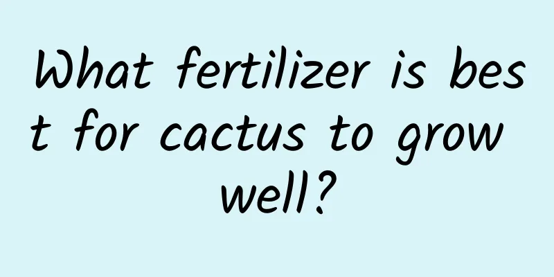 What fertilizer is best for cactus to grow well?
