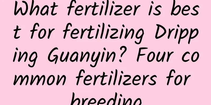 What fertilizer is best for fertilizing Dripping Guanyin? Four common fertilizers for breeding