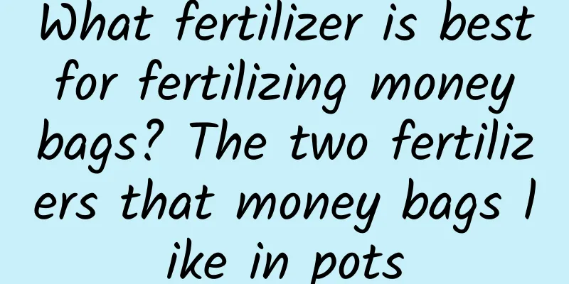What fertilizer is best for fertilizing money bags? The two fertilizers that money bags like in pots