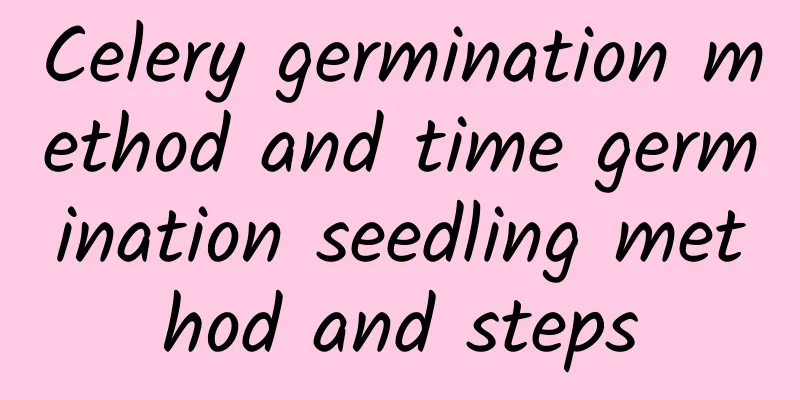 Celery germination method and time germination seedling method and steps