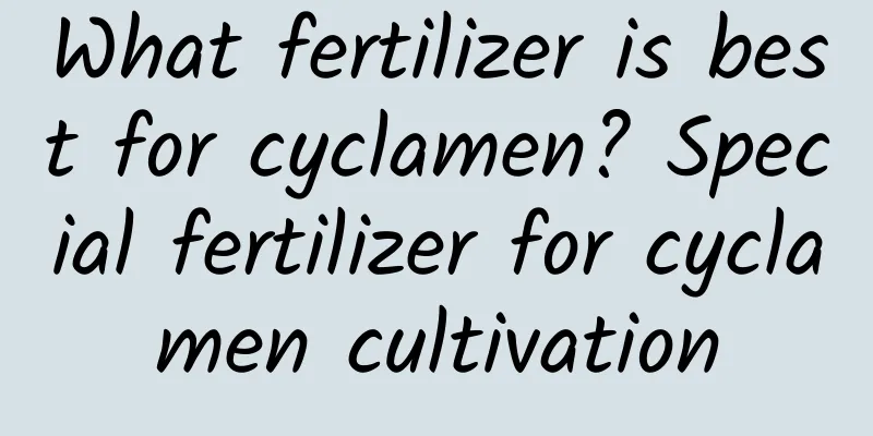 What fertilizer is best for cyclamen? Special fertilizer for cyclamen cultivation